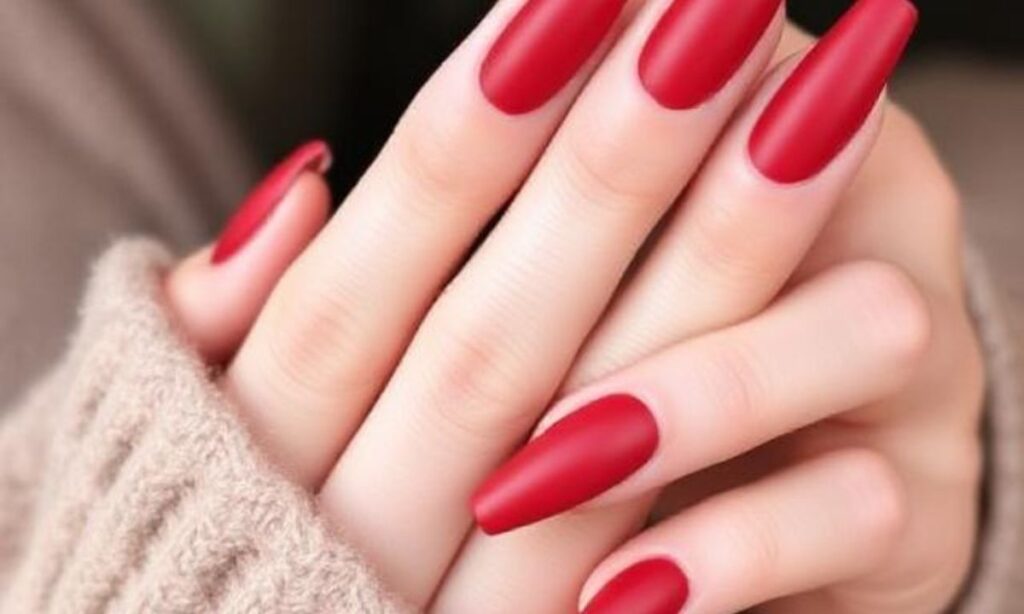 Chic Long Red Matte Nails