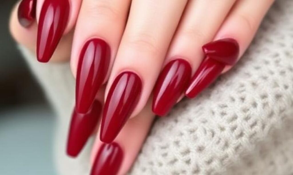 Elegant Long Dark Red Nails