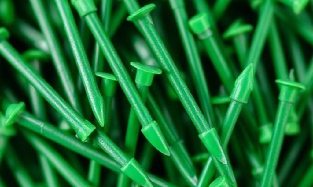Green Short Round French Tip Nails