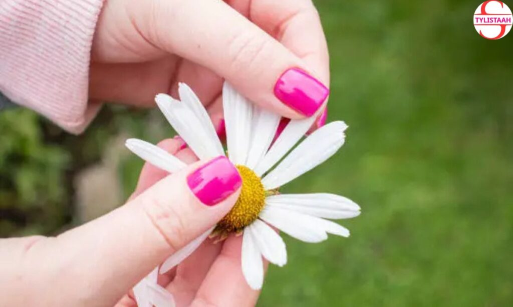 cute-pink-daisy-short-nails