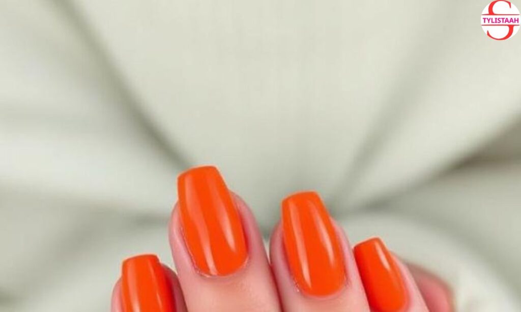 orange-fall-colors-for-2025