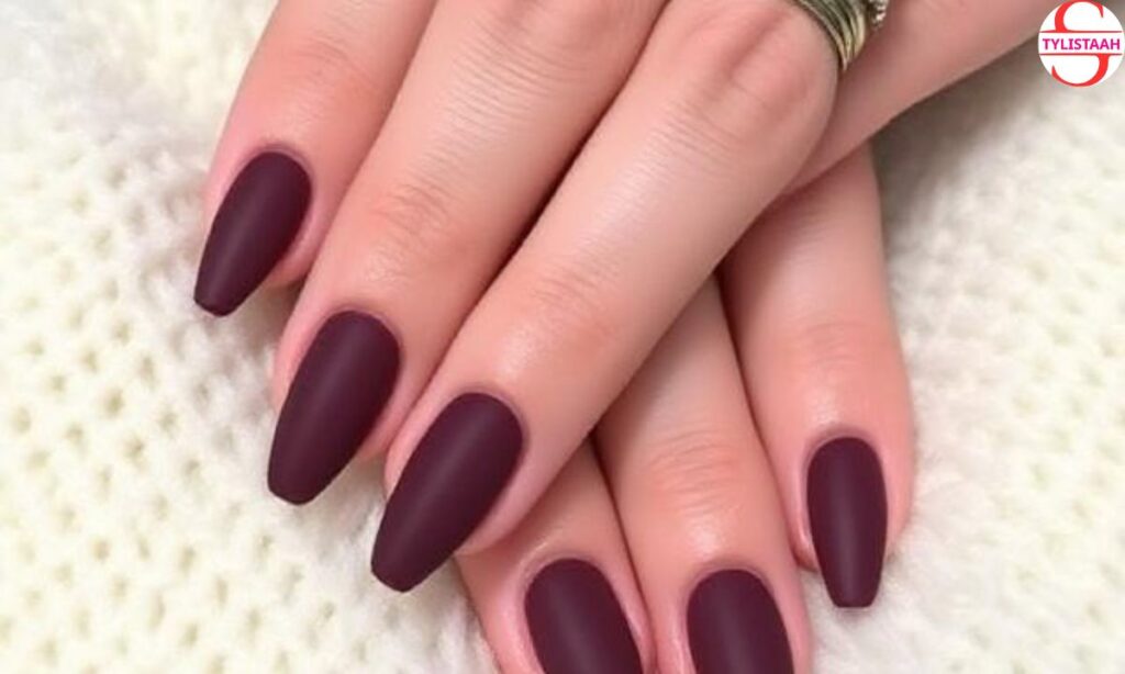 Velvet Matte Winter Nails